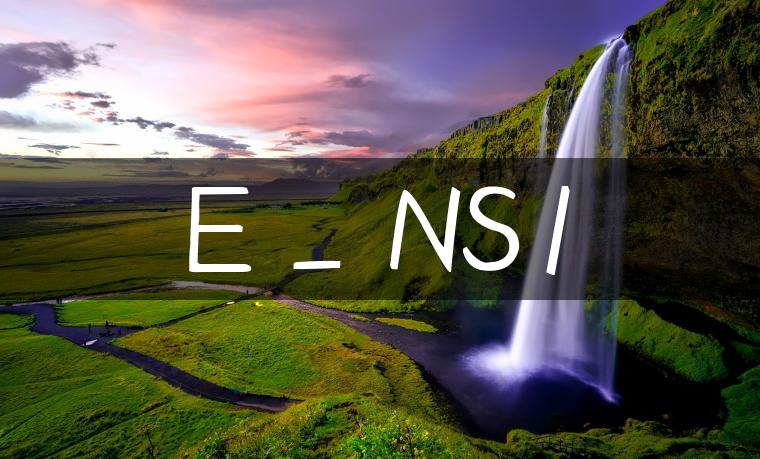 E_NS1