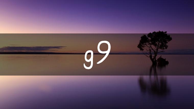 g9