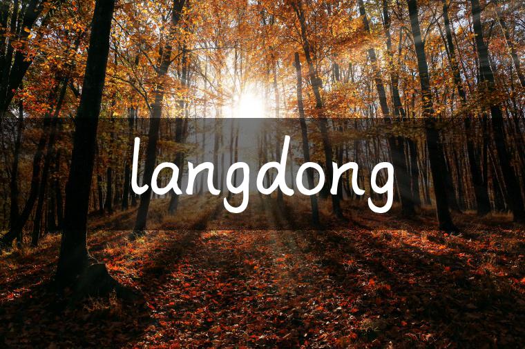langdong-金牌车友