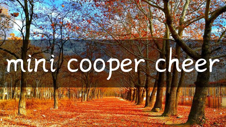 mini cooper cheer