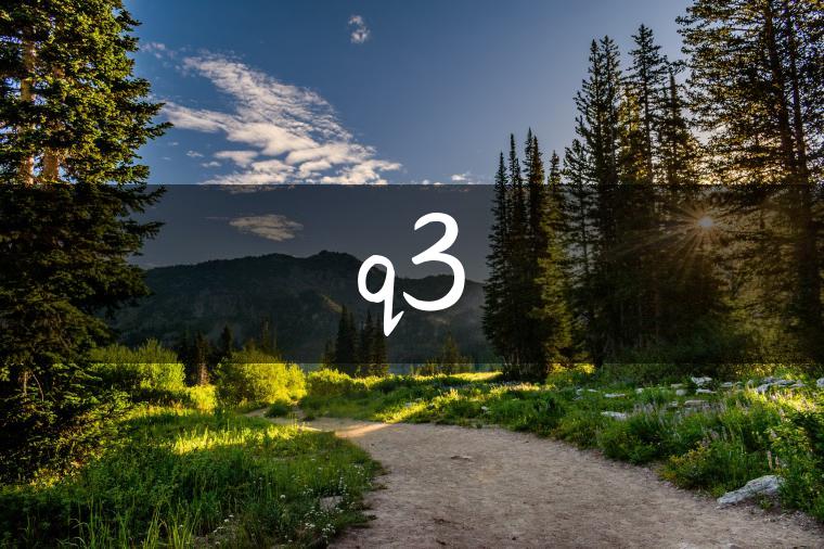 q3