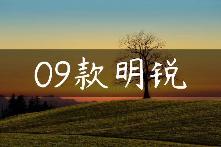 09款明锐