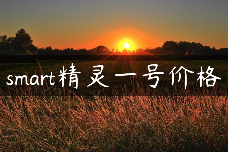 smart精灵一号价格