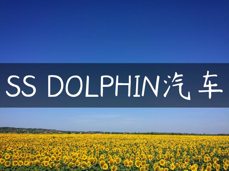 SS DOLPHIN汽车