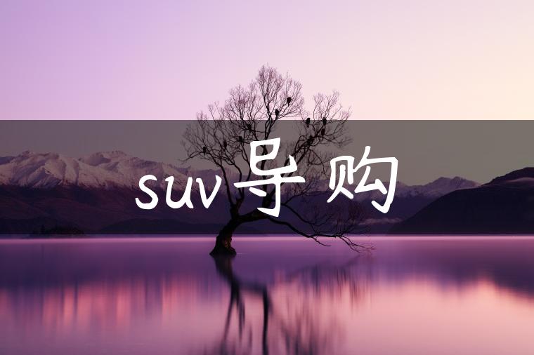 suv导购