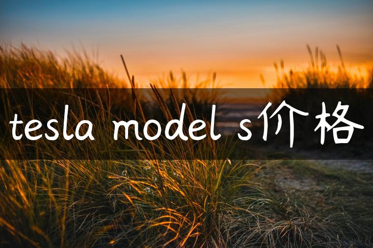 tesla model s价格