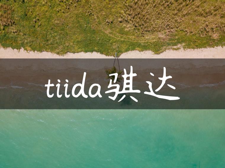 tiida骐达