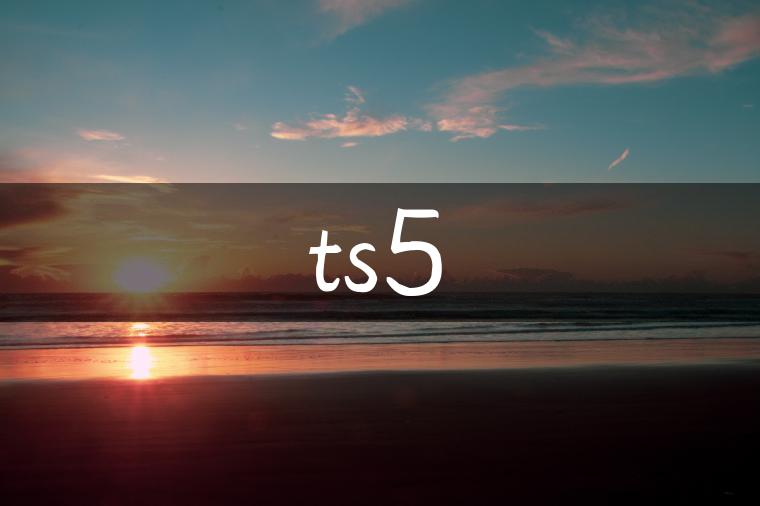 ts5
