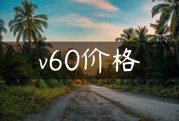 v60价格