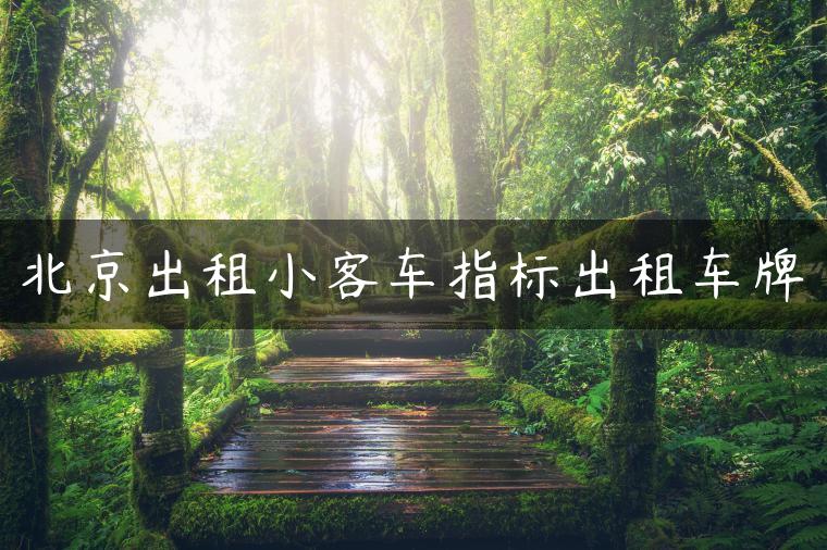 北京出租小客车指标出租车牌