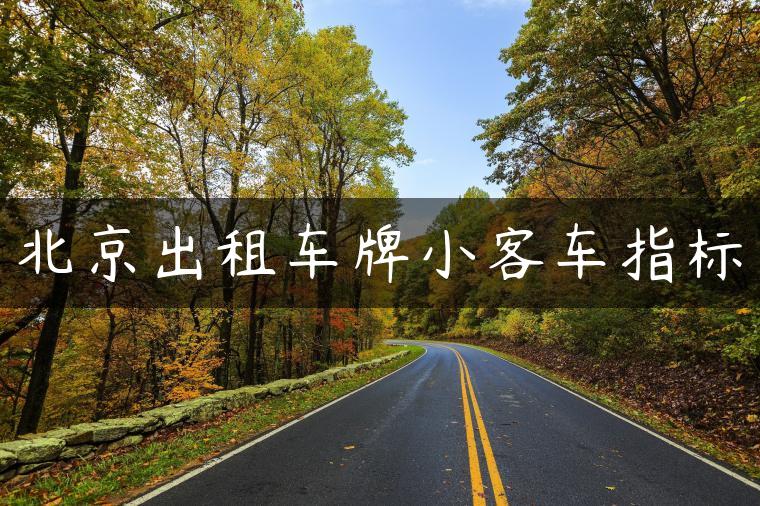北京出租车牌小客车指标