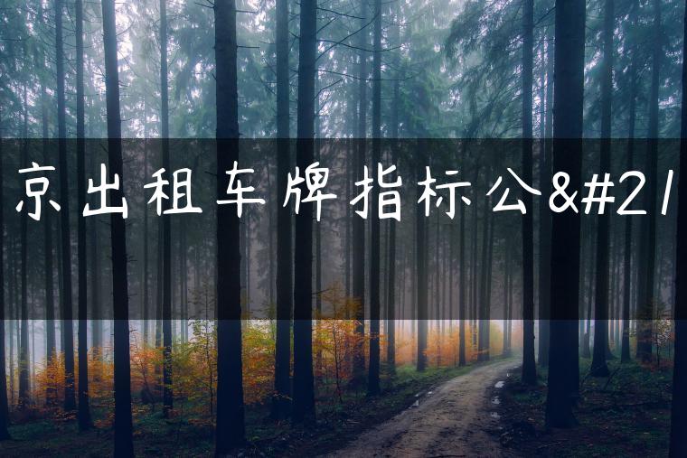 北京出租车牌指标公司