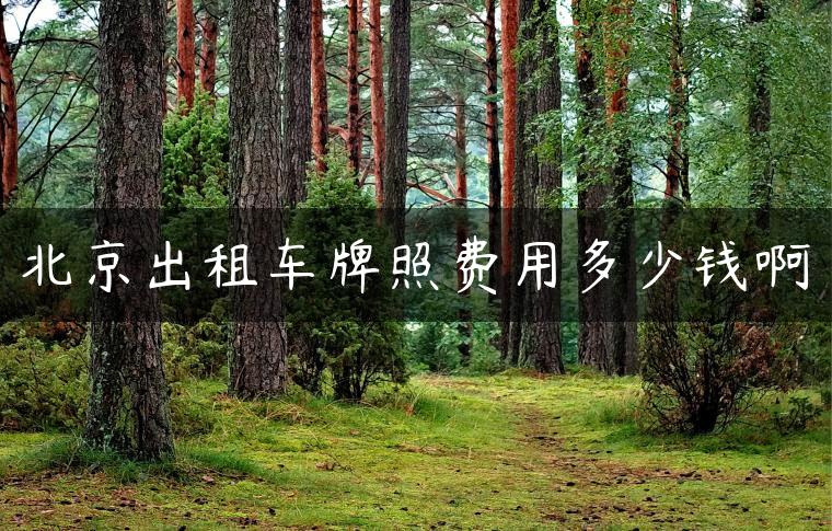 北京出租车牌照费用多少钱啊