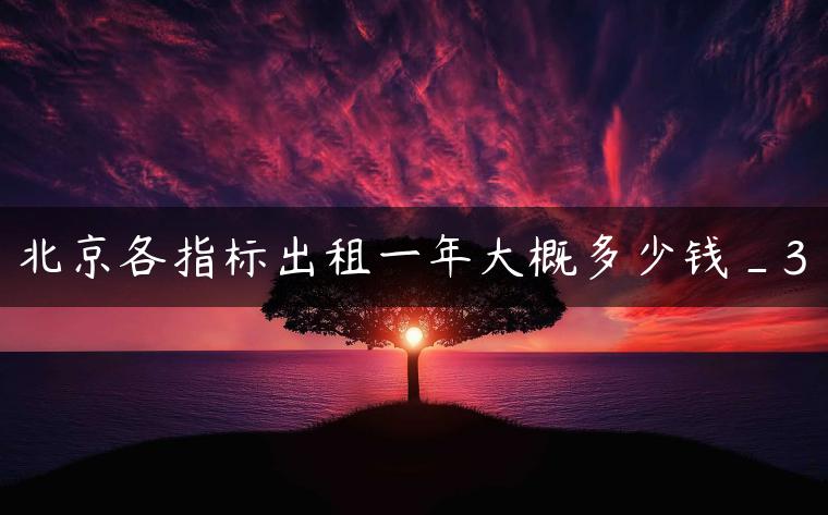 北京各指标出租一年大概多少钱_3