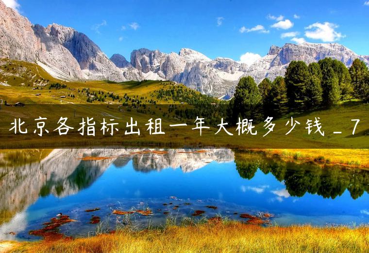 北京各指标出租一年大概多少钱_7