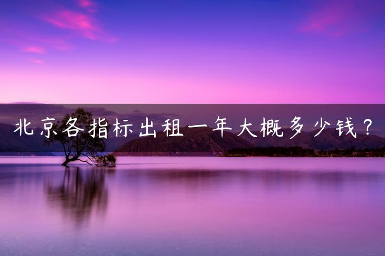 北京各指标出租一年大概多少钱？