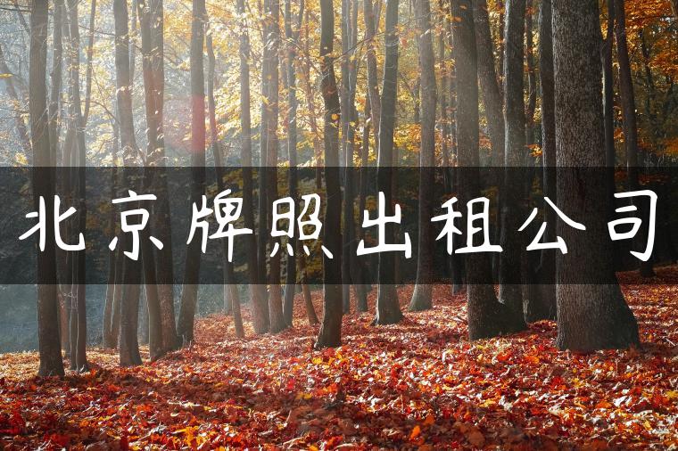 北京牌照出租公司