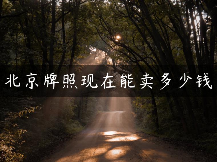 北京牌照现在能卖多少钱