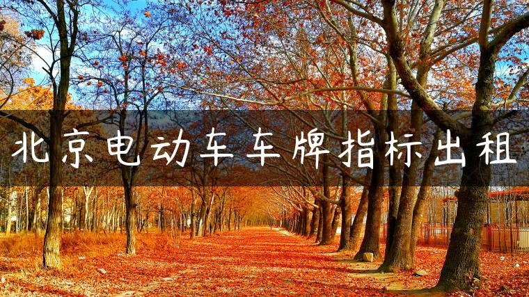 北京电动车车牌指标出租