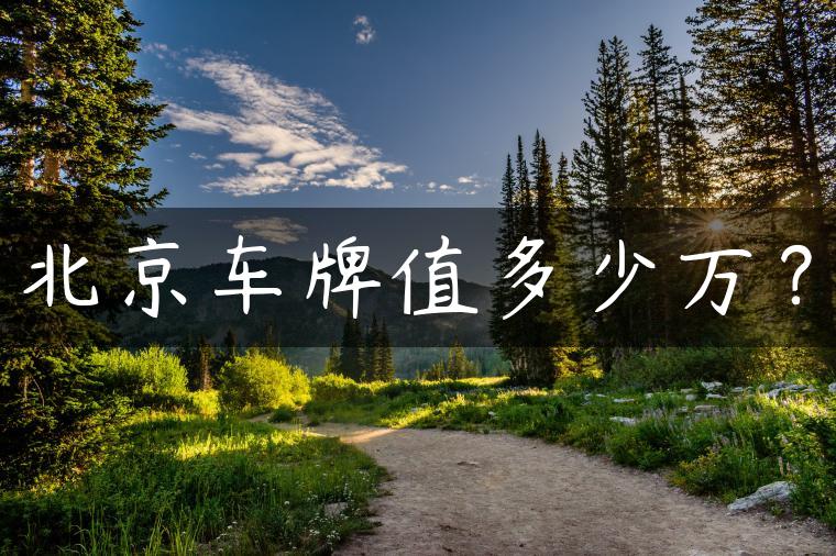 北京车牌值多少万？