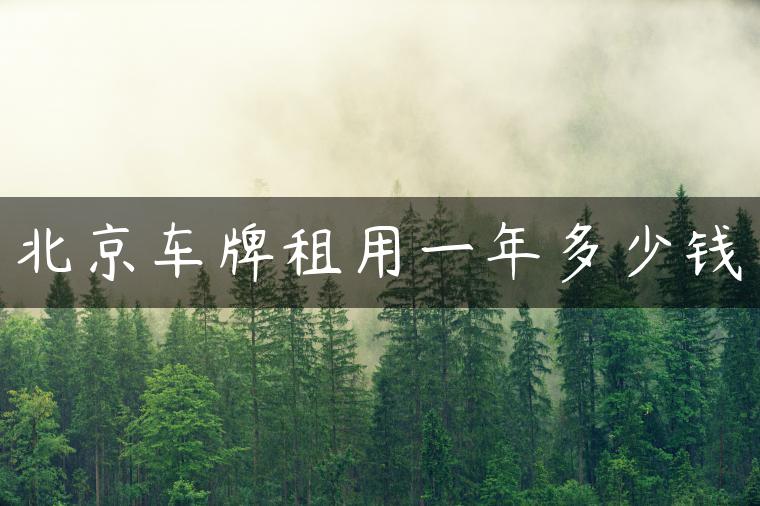 北京车牌租用一年多少钱
