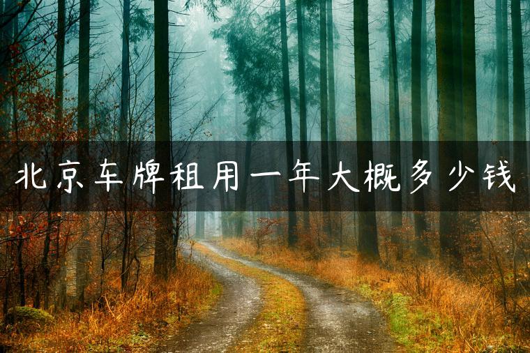 北京车牌租用一年大概多少钱
