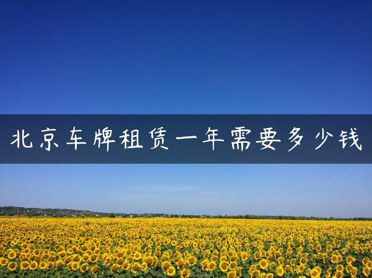北京车牌租赁一年需要多少钱-金牌车友