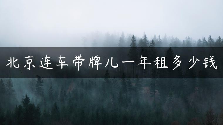 北京连车带牌儿一年租多少钱