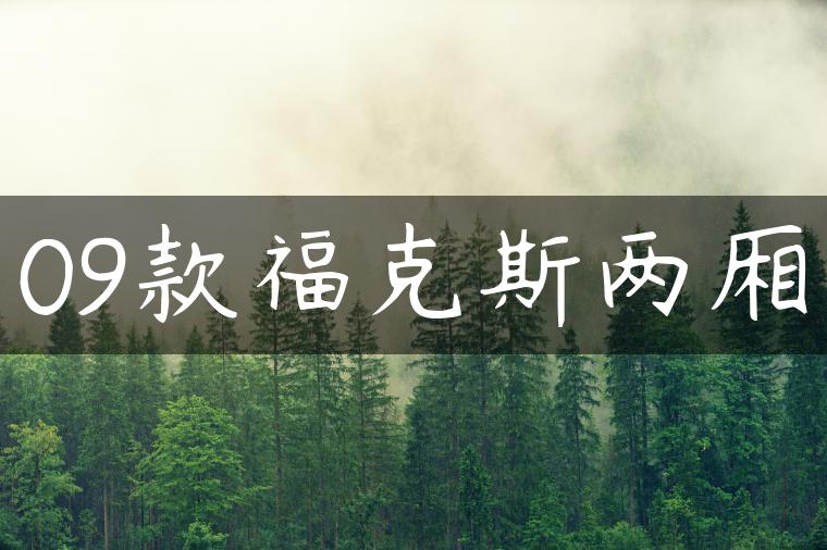 09款福克斯两厢