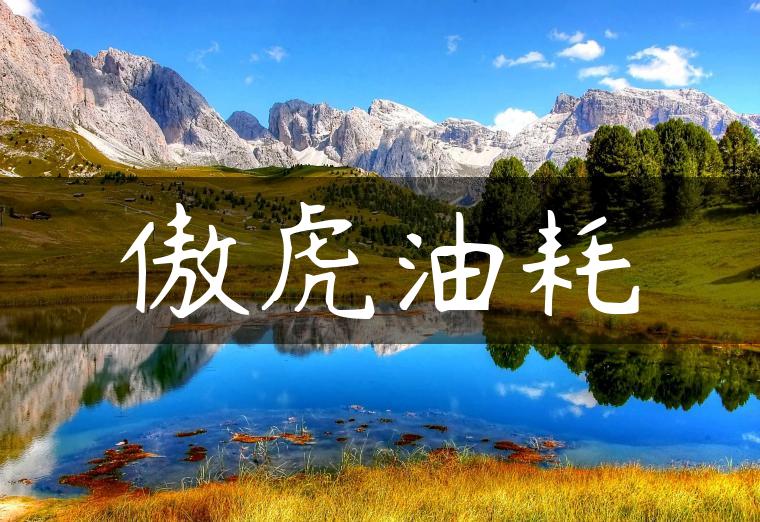 傲虎油耗
