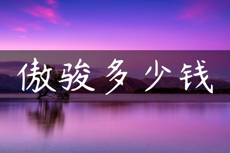 傲骏多少钱-金牌车友