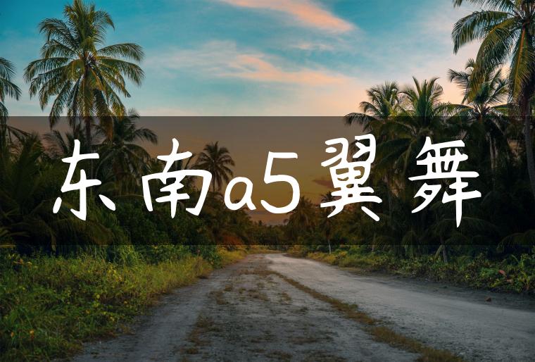 东南a5翼舞