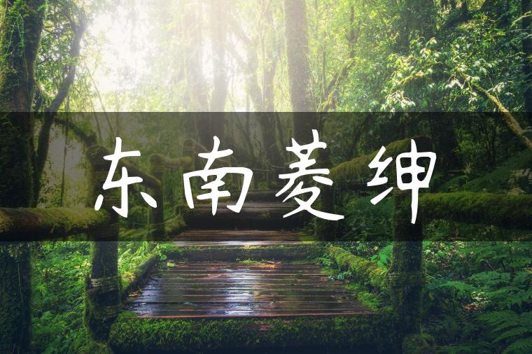 东南菱绅