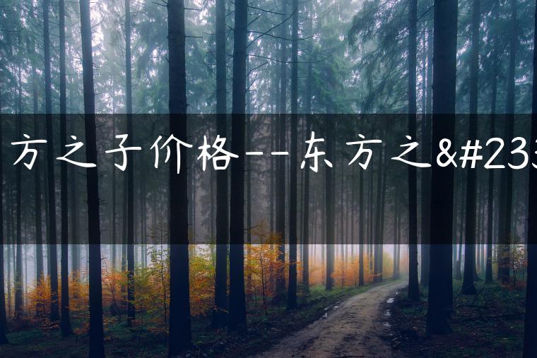 东方之子价格–东方之子