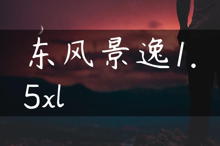 东风景逸1.5xl-金牌车友