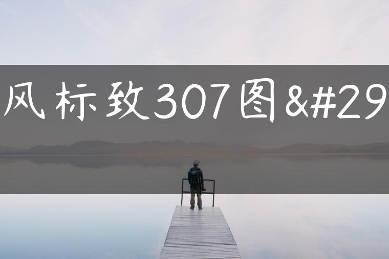 东风标致307图片