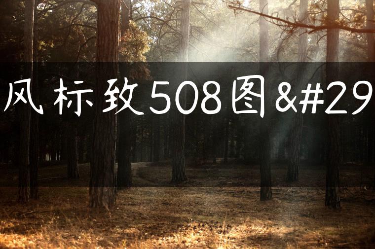 东风标致508图片