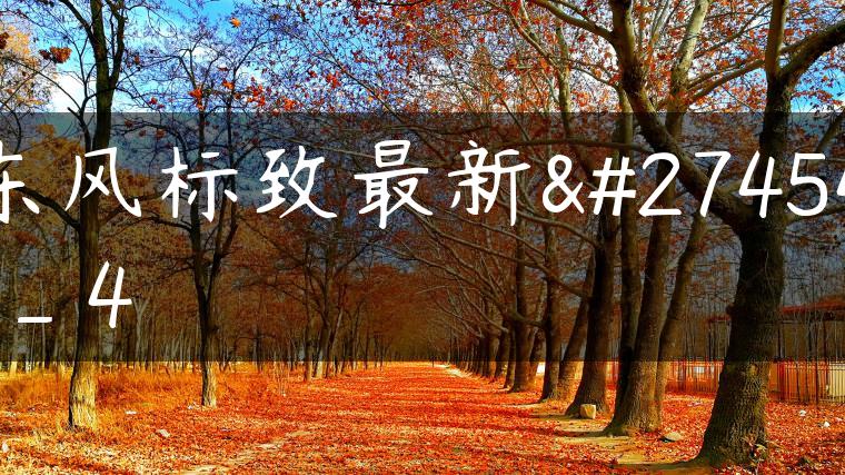 东风标致最新款_4