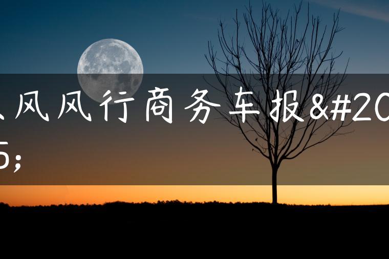 东风风行商务车报价