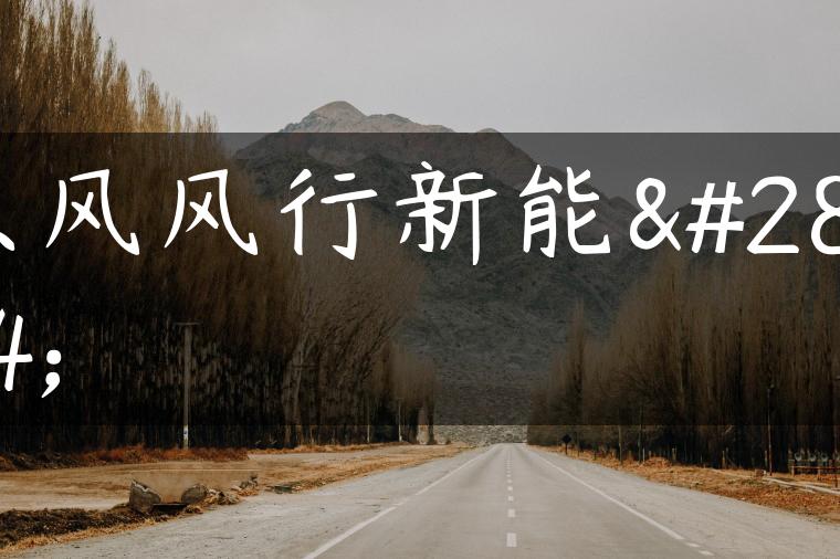 东风风行新能源