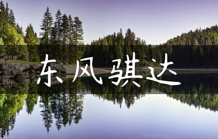 东风骐达