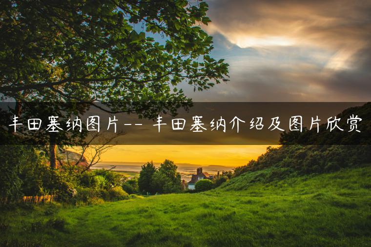 丰田塞纳图片– 丰田塞纳介绍及图片欣赏