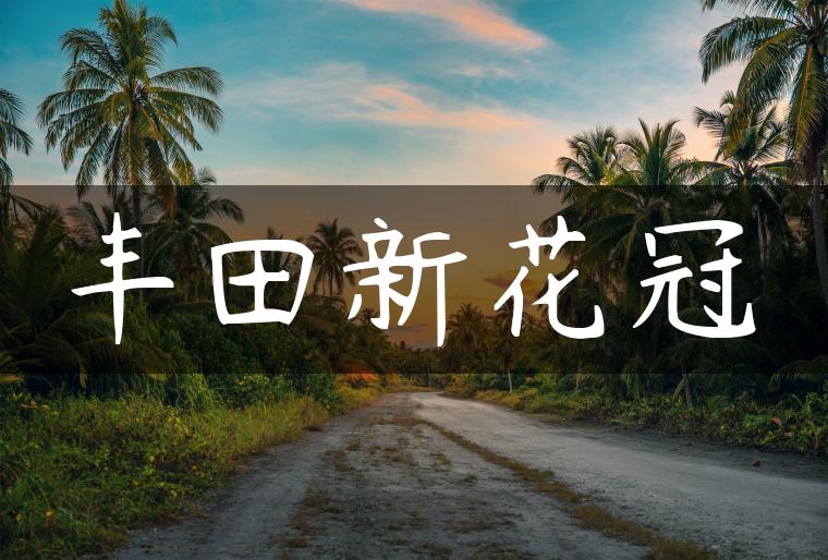 丰田新花冠