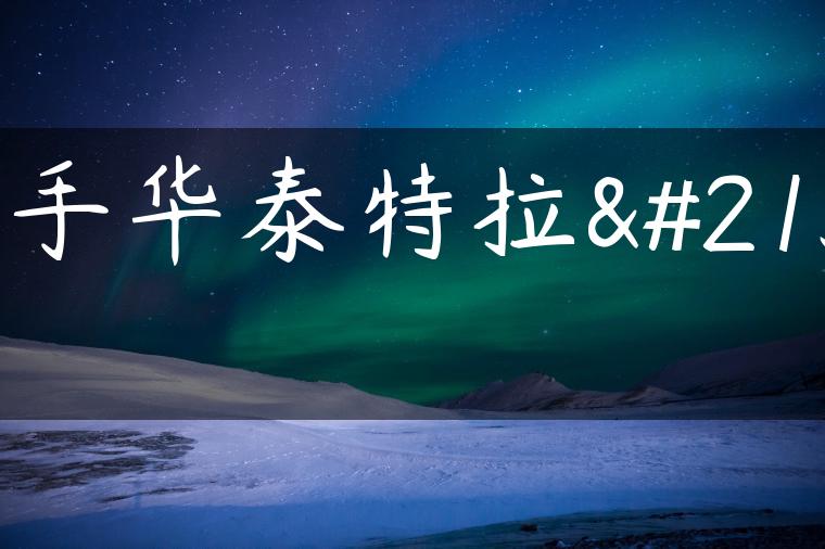 二手华泰特拉卡