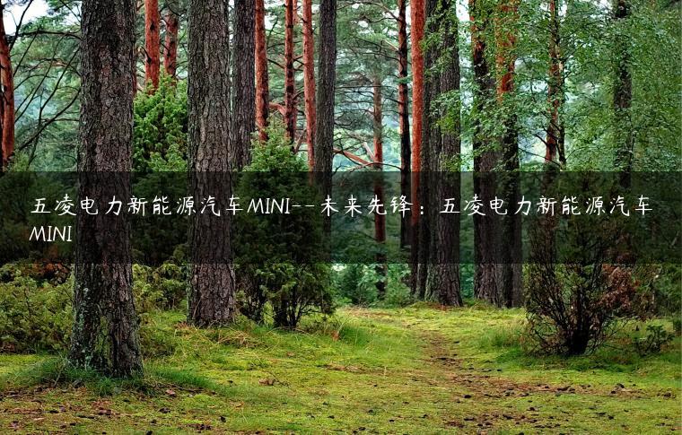 五凌电力新能源汽车MINI–未来先锋：五凌电力新能源汽车MINI