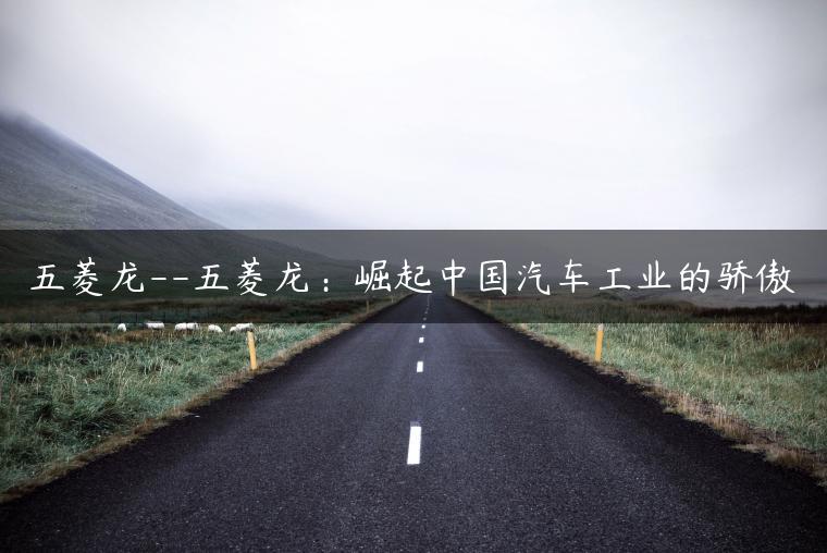 五菱龙–五菱龙：崛起中国汽车工业的骄傲