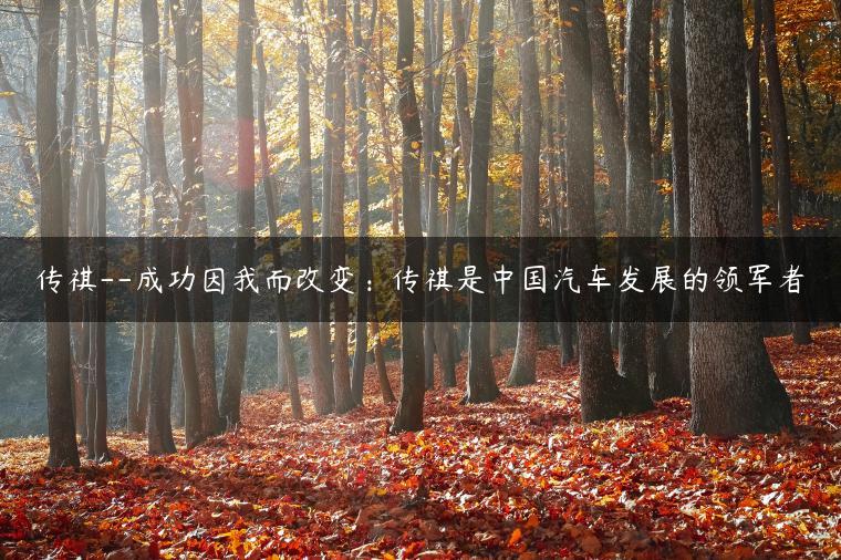 传祺–成功因我而改变：传祺是中国汽车发展的领军者