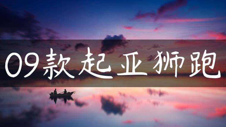 09款起亚狮跑