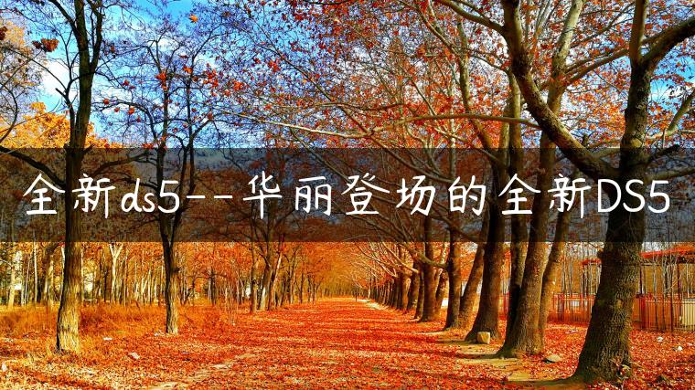 全新ds5–华丽登场的全新DS5