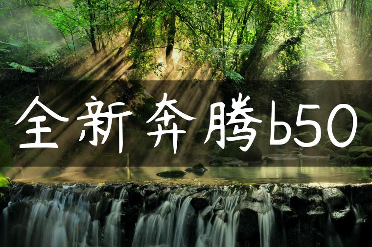 全新奔腾b50